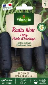 Radis Noir Long Poids d'Horloge - Légumes d'Autrefois